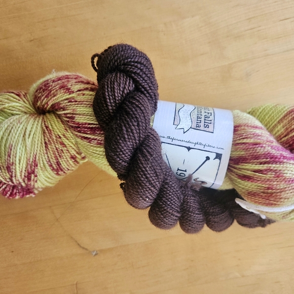 Farmer's Daughter Fibers Sock Squad 2023, January through October, 8 skeins. - Picture 6 of 6